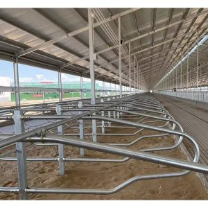 logette pour vaches avec stalles libres