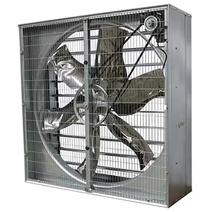Éléments de conception du système de ventilation pour la porcherie